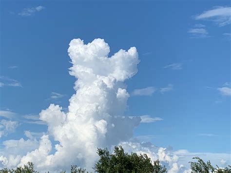 雲柱